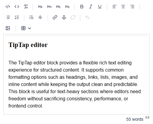 Showing an example of the TipTap text editor